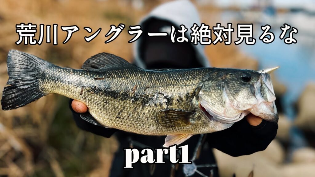 【荒川バス釣り】真冬でもバスは地味に釣れてるお知らせ。