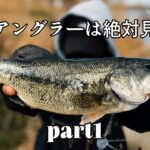 【荒川バス釣り】真冬でもバスは地味に釣れてるお知らせ。