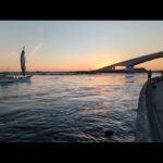 【直近浜名湖大曲情報】📢大潮上げ青物終盤戦に望みをかけて…🐟