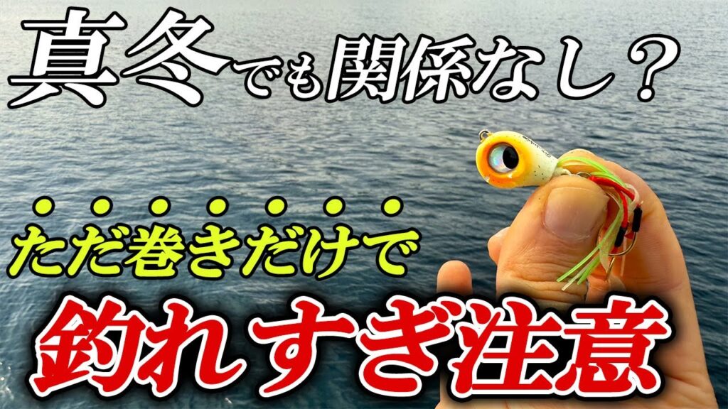 真冬の堤防であらゆる魚が巻くだけで釣れまくる！この釣り方はやはりヤバかった【魚子ラバ実釣インプレ】