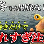 真冬の堤防であらゆる魚が巻くだけで釣れまくる！この釣り方はやはりヤバかった【魚子ラバ実釣インプレ】