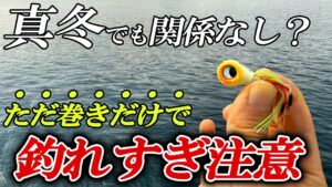 真冬の堤防であらゆる魚が巻くだけで釣れまくる!この釣り方はやはりヤバかった【魚子ラバ実釣インプレ】