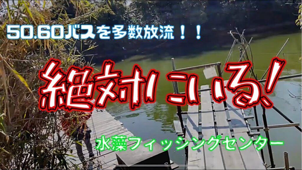 【バス釣り】水藻フィッシングセンター ・・・動きます！！【冬】【管理釣り場】