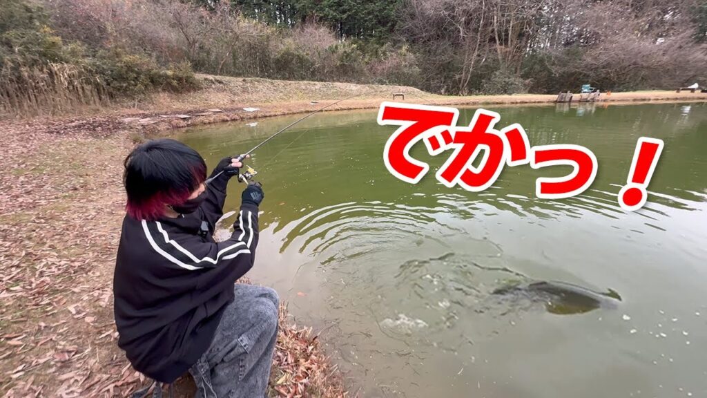 今エリアトラウトがヤバいことになっているのを知ってますか？【管理釣り場・ハートデザイン・片平フィッシングエリア】