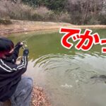 今エリアトラウトがヤバいことになっているのを知ってますか？【管理釣り場・ハートデザイン・片平フィッシングエリア】