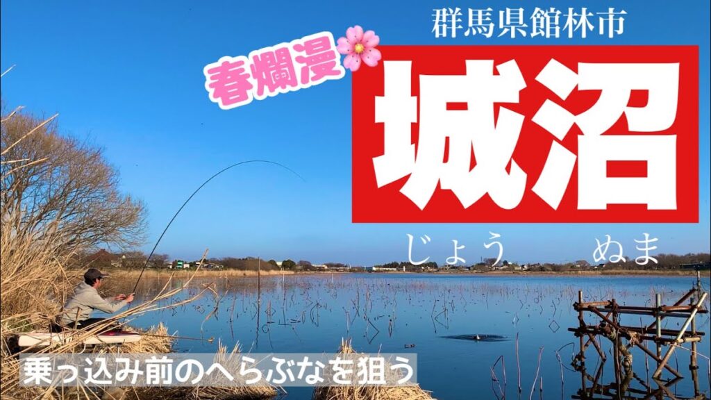 乗っ込み前のへらぶなを狙う 城沼でへらぶな釣り