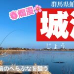 乗っ込み前のへらぶなを狙う 城沼でへらぶな釣り