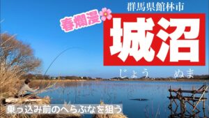 乗っ込み前のへらぶなを狙う 城沼でへらぶな釣り