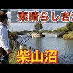 フルキャスト～のバイト！最高！！！  柴山沼  バス釣り おかっぱり