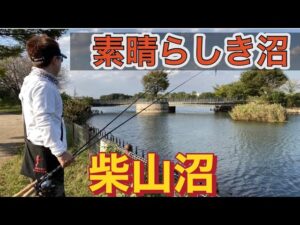 フルキャスト~のバイト!最高!!! 柴山沼 バス釣り おかっぱり