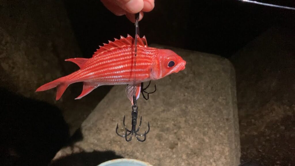 【沖縄釣り】自作のイカ仕掛けを投入したらバケモノ来た