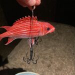 【沖縄釣り】自作のイカ仕掛けを投入したらバケモノ来た