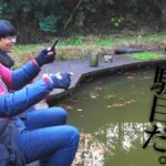 管理釣り場の池の魚を全部狙ってみると…【釣パラダイス】