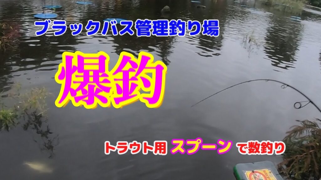 『ブラックバス管理釣り場』スプーンで数釣り、余裕ですｗ