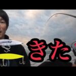 真冬の遠州灘サーフへ暗い内から釣りに行ったらシンキングペンシルに…