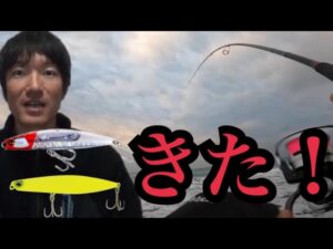 真冬の遠州灘サーフへ暗い内から釣りに行ったらシンキングペンシルに…