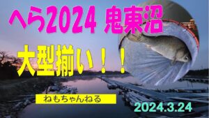 鬼東沼でのヘラブナ釣り