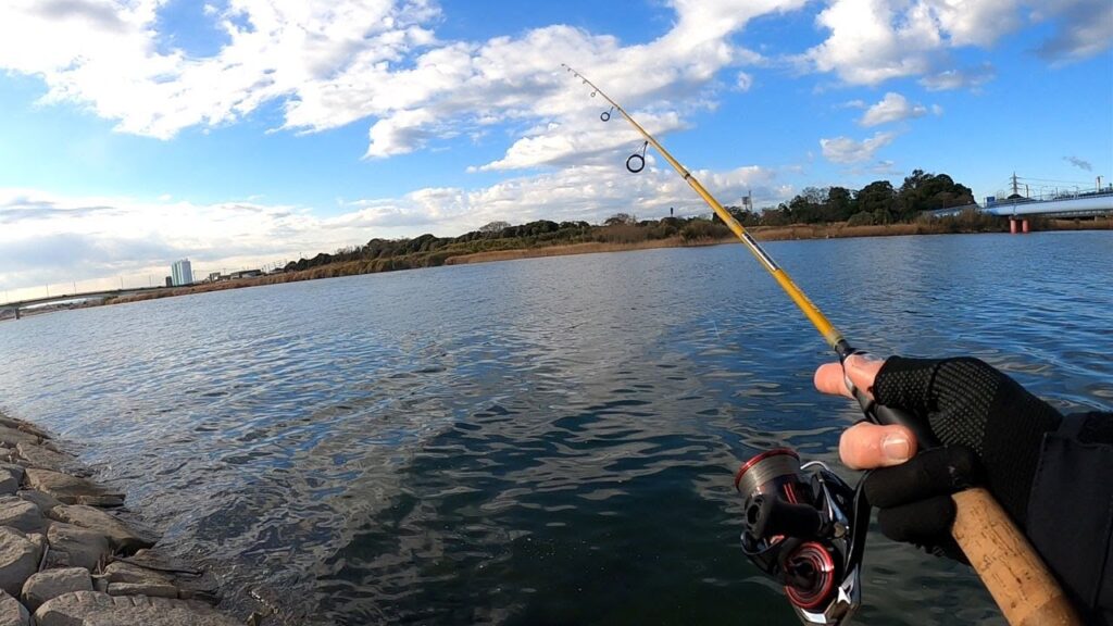 養老川で釣り！