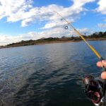 養老川で釣り！
