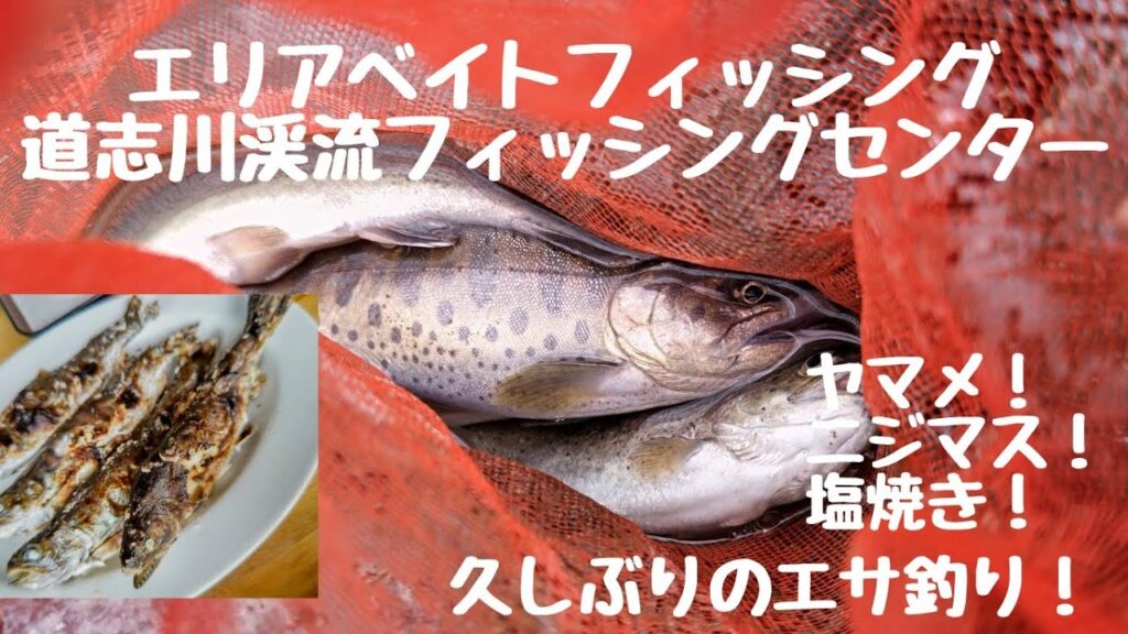 エリアフィッシング【管理釣り場】久しぶりのエサ釣り 道志川渓流フィッシングセンター