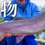 【人生最大記録】大物爆釣が止まらない!!怪物たちの楽園はここにあった...【エリアトラウト】【管理釣り場】【ユーランド清水川】