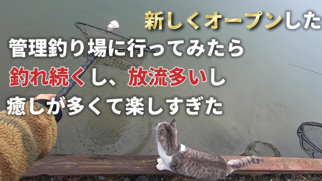 新しくオープンした管理釣り場が楽しすぎた！フィッシングステージ彩の国【エリアトラウト】