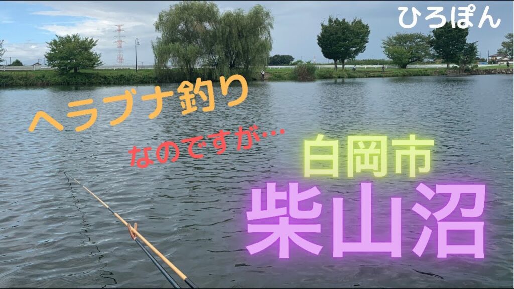 ヘラブナ釣り　なのですが…  埼玉県白岡市　柴山沼　　へらぶな釣り