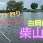 ヘラブナ釣り　なのですが…  埼玉県白岡市　柴山沼　　へらぶな釣り