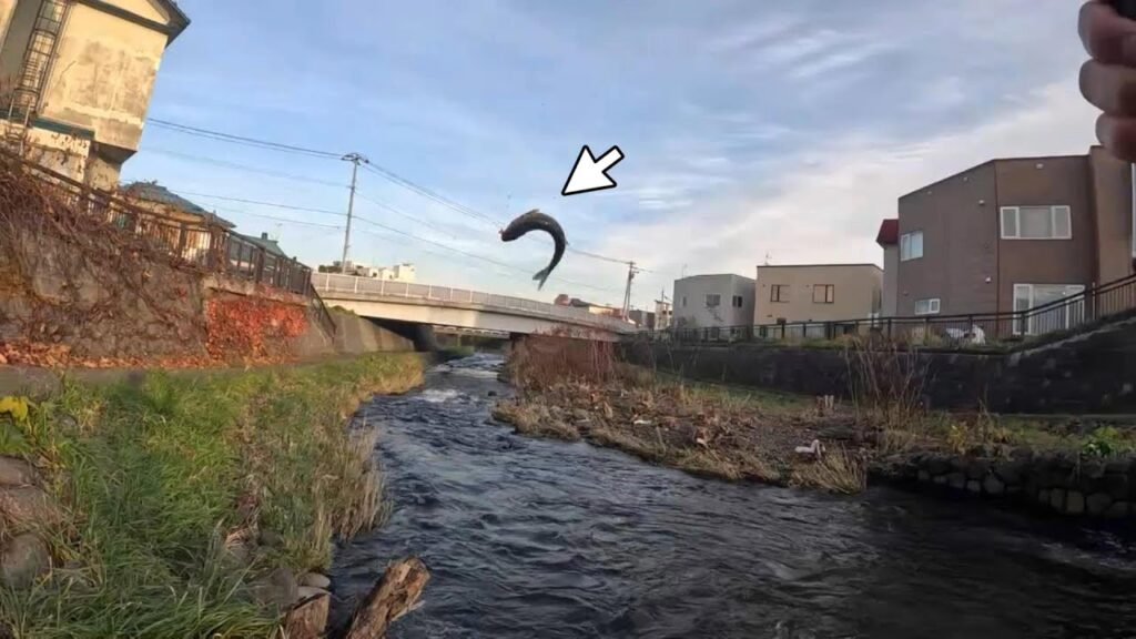 勝納川 すぐそこ海というド下流で釣りした結果…