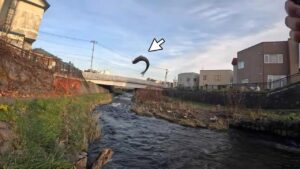 勝納川 すぐそこ海というド下流で釣りした結果…