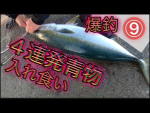 【浜名湖】 海釣り公園〜遠州灘 青物 回遊魚 入れ食い 連発 爆釣 釣れる 泳がせ ボイル ナブラ アタリバンバン 場所替え