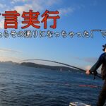 【石鯛釣り】沖堤防で記録更新