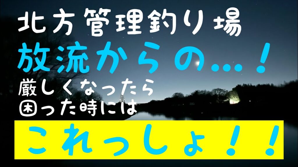 北方管理釣り場！悶絶ブレイク編！！