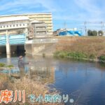 厳寒期の多摩川はどんな感じ？  冬の多摩川を散策～♪  冬の多摩川で小物釣り。