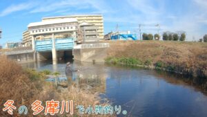 厳寒期の多摩川はどんな感じ? 冬の多摩川を散策~♪ 冬の多摩川で小物釣り。