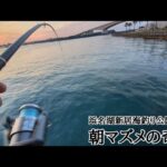 最新浜名湖釣果情報📢【浜名湖釣り】🎣まさかのラストでドラグが止まらない🐟