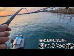 最新浜名湖釣果情報📢【浜名湖釣り】🎣まさかのラストでドラグが止まらない🐟