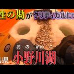 ほぼ初めての湖で大漁！！#ワカサギ釣り #小野川湖 #シマノ #レイクマスター #庄助キャンプ場