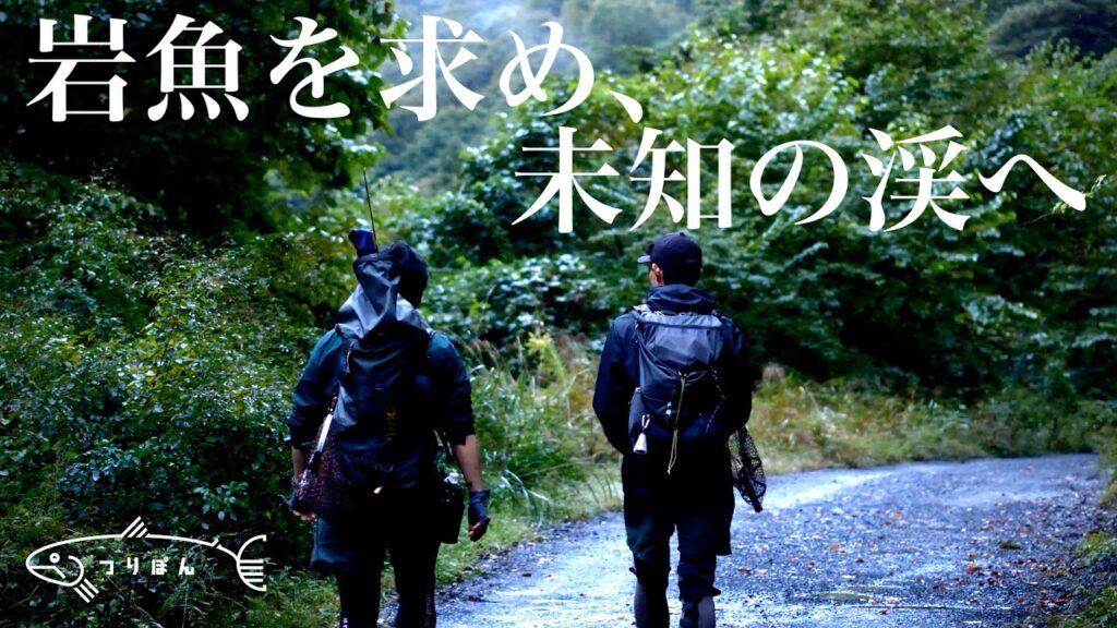 岩魚を求め、未知の渓へ【渓流釣り】