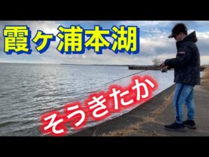 温暖化。一か月先を読む! バス釣り おかっぱり 霞ヶ浦