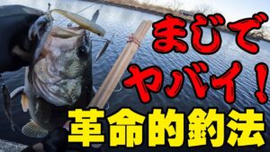 これはまじでヤバイ！革命的釣法！！！【五三川】【バス釣り】【シャーベットヘアーチャンネル】