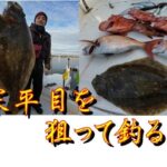【海釣り情報】伊勢湾で旬の寒平目をジグ・タイラバ・泳がせで狙う！