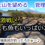 【エリアトラウト】静岡県御殿場市の管理釣り場