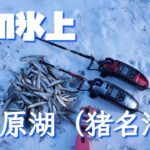 【ワカサギ釣り】松原湖で楽しむ氷上ワカサギ釣り【松原湖】
