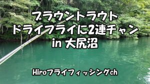フライフィッシング 大尻沼ブラウン