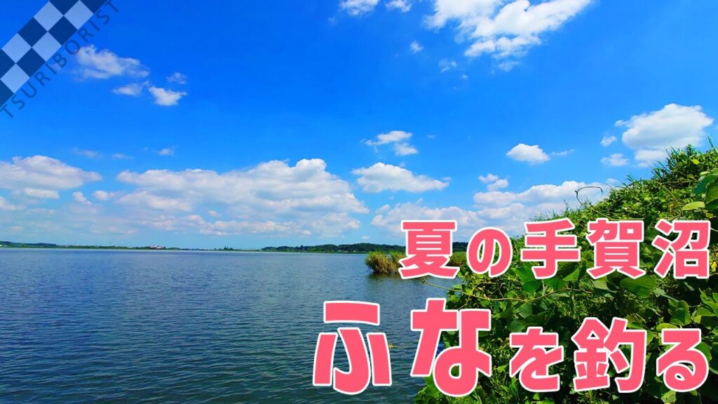 【ウキ釣りだいちゃん】手賀沼（千葉県柏市）真夏の時短ふな釣り！