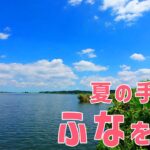 【ウキ釣りだいちゃん】手賀沼（千葉県柏市）真夏の時短ふな釣り！