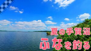 【ウキ釣りだいちゃん】手賀沼(千葉県柏市)真夏の時短ふな釣り!