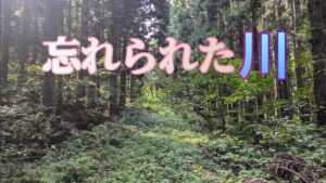 忘れられた川の釣り【フライフィッシング】乾坤一擲の鱒【越後】