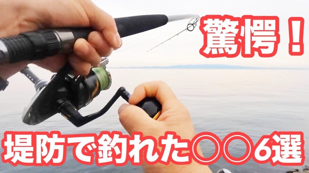 【驚愕】堤防釣りでこんなのが釣れるの？【ショアジギング/飲ませ釣り】